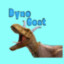 Dynogoat