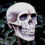 ^4[^9R^1G^3S^4]-DaAigner