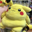 FATchu