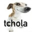 tchola