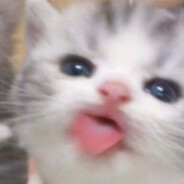 MEOW