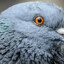 ЗСУ-{csgetto.app}-