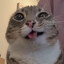 rek