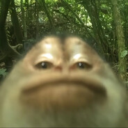 gewoontjerk