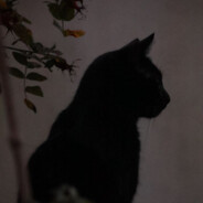 Avatar snapshot