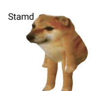 bialolecki domestos haze