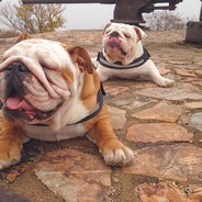 爱打瞌睡的糙哥