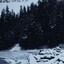 Ambience