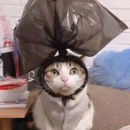 她才十四岁怎么守得住B