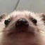 ^KEJO