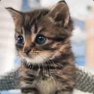 En Gullig Katt's Steam avatar
