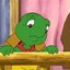 Frankly Turtle