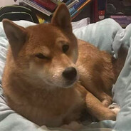 呵呵一日又晴天