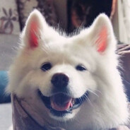 旷世美男大帅比