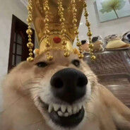 无敌爆帅小学生