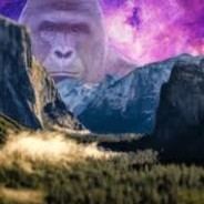 Harambe