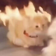 不愿透露姓名的帅哥