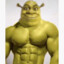 shrek poxydell