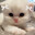 nya