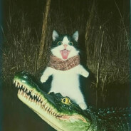 榴莲肠粉（重生版）