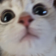 AYGIT KOCAMAN - steam id 76561199066135672