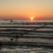 万物安好，山海可平