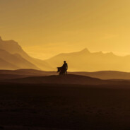 赶紧学习别玩了
