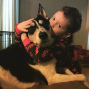 嘿小鬼，打爆你的狗头