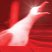 KingoftheSeagulls565