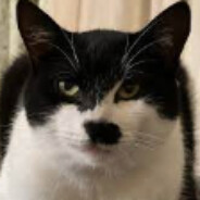 Kitler