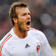 风吹草低见牛羊