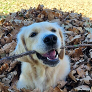 [HUZZ] Snuggly_bear [BOT]