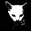 gato