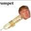 Donald Trumpet