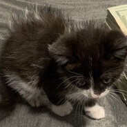 ntng perfect except me