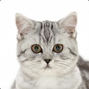 DeadInfinity avatar