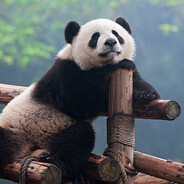 bambuchax - steam id 76561198154910041