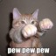 The Dirty Gato