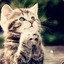 KittyGOD
