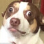 Mr.Bubz