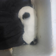 真心不一定能换来真心