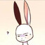 rabbit