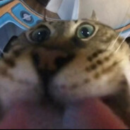 和前女友4i过度变成0后勾引她现男友