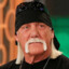 WCW. Hulk Hogan