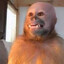 bald monke