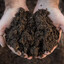 Sludge