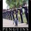 Perilous Penguin