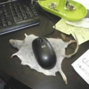 尺ㄚㄥ乇ㄒҜ卂