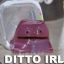 Ditto ._.