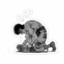 IPPO(3